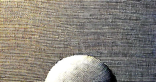 Belgium’s Van Bommel Appointment: A DAO Governance Autopsy in the Real World